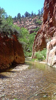 Parunuweap-canyon-6.jpg