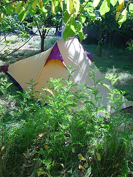 DSC04493.jpg