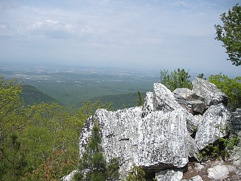 DSCN2727.jpg