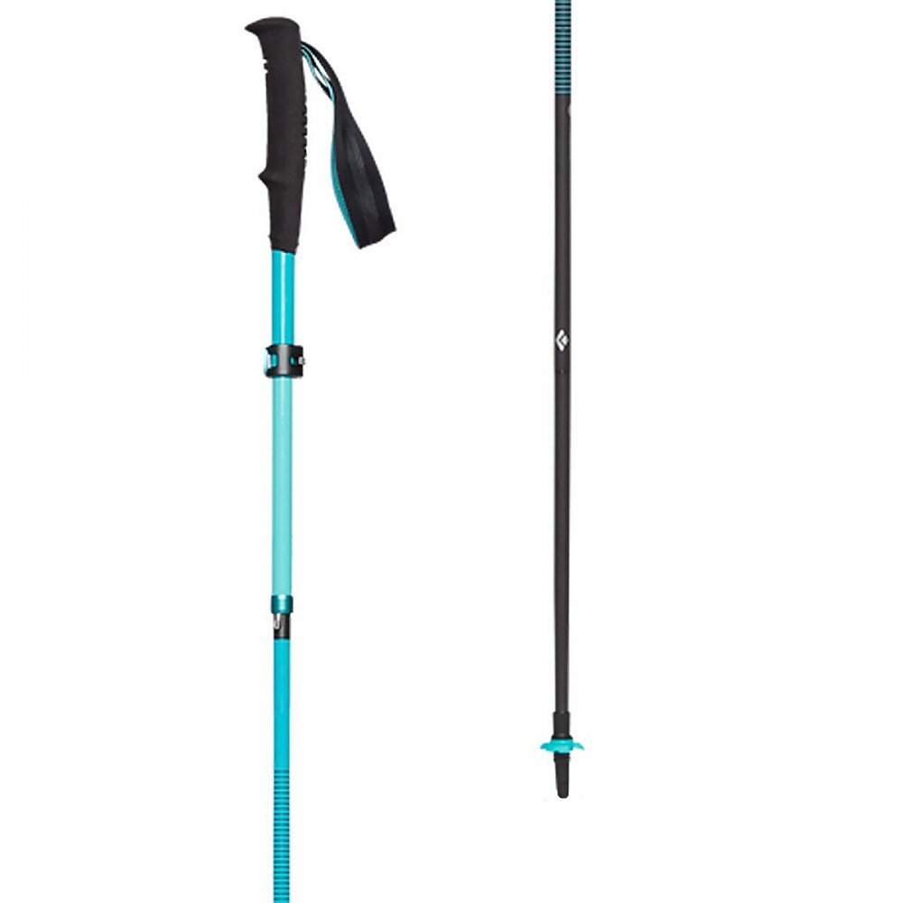 photo: Black Diamond Distance Carbon Z rigid trekking pole