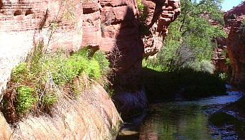 Parunuweap-canyon-8.jpg