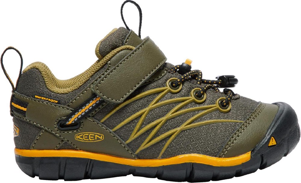 photo: Keen Chandler Waterproof CNX trail shoe