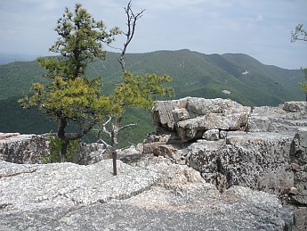 DSCN2733.jpg
