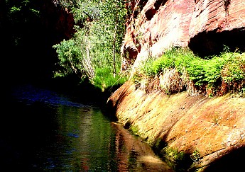 Parunuweap-canyon-9.jpg