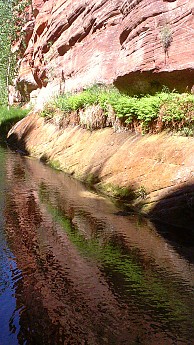 Parunuweap-canyon-10.jpg