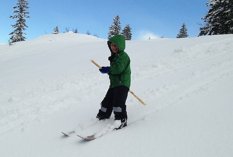 photo: Altai Skis Balla Hok alpine touring/telemark ski