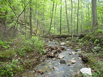 DSCN2737.jpg