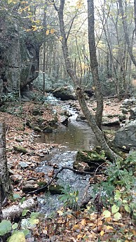 IMG_20161022_081829622.jpg