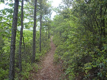 DSCN2739.jpg