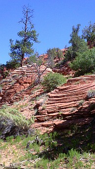 Sandstone-layers-that-were-once-sand-dun