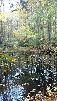 IMG_20161022_083509637.jpg