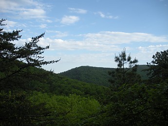 DSCN2740.jpg