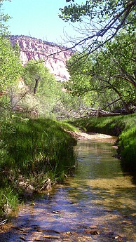 The-lazy-but-ever-flowing-East-Fork-Virg