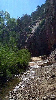 Parunuweap-canyon-17.jpg