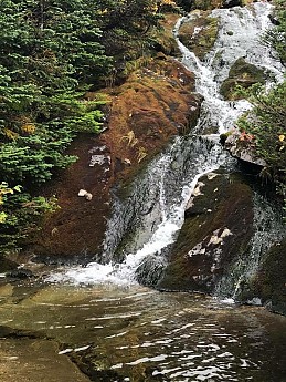 IMG_1904.jpg