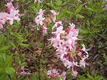 DSCN2742.jpg