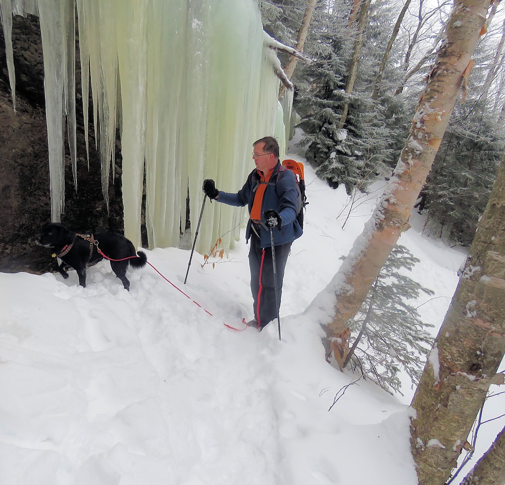 Tubbs 3Part Snowshoe Poles Reviews Trailspace