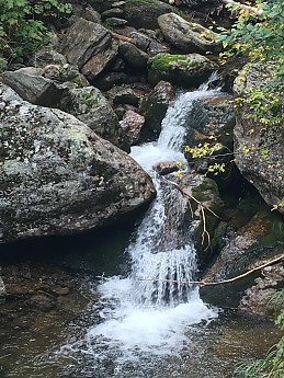 IMG_1887.jpg