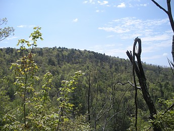 DSCN2746.jpg