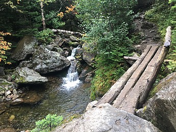 IMG_1888.jpg