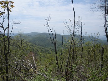 DSCN2750.jpg