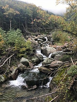 IMG_1901.jpg