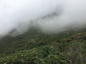 IMG_1896.jpg