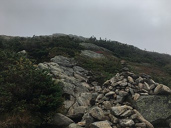 IMG_1895.jpg