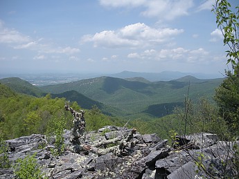 DSCN2754.jpg