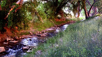 East-fork-of-the-Virgin-River.jpg