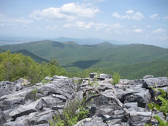 DSCN2758.jpg