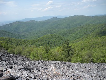DSCN2766.jpg