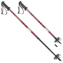 photo: REI Summit Winter Junior Poles rigid trekking pole