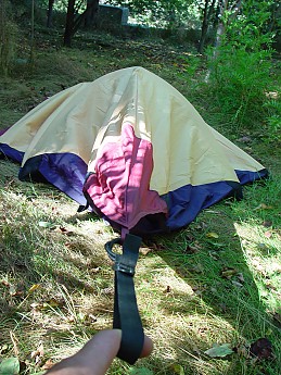 DSC04513.jpg