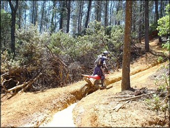 Rutted-bike-trail.jpg