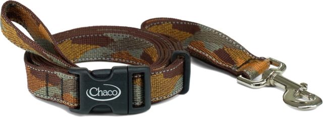 photo: Chaco Dog Leash dog leash