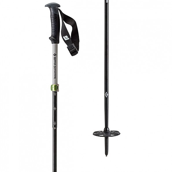 photo of a alpine touring/telemark pole