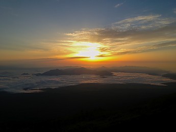IMG_0785.jpg