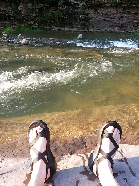 First Look: Chaco's Z Canyon 2 Sandal