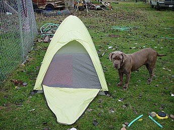 DSC05109.jpg