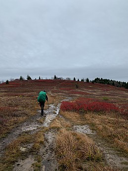 IMG_5663.jpg