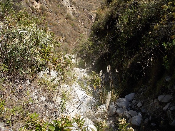 DSCN0491.jpg
