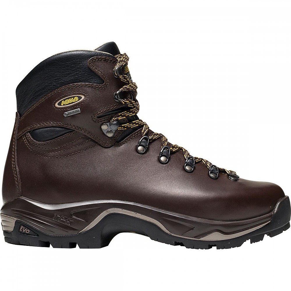 photo: Asolo TPS 520 GV Evo backpacking boot