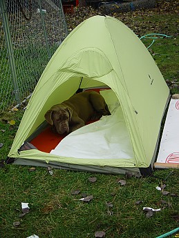 DSC05136.jpg