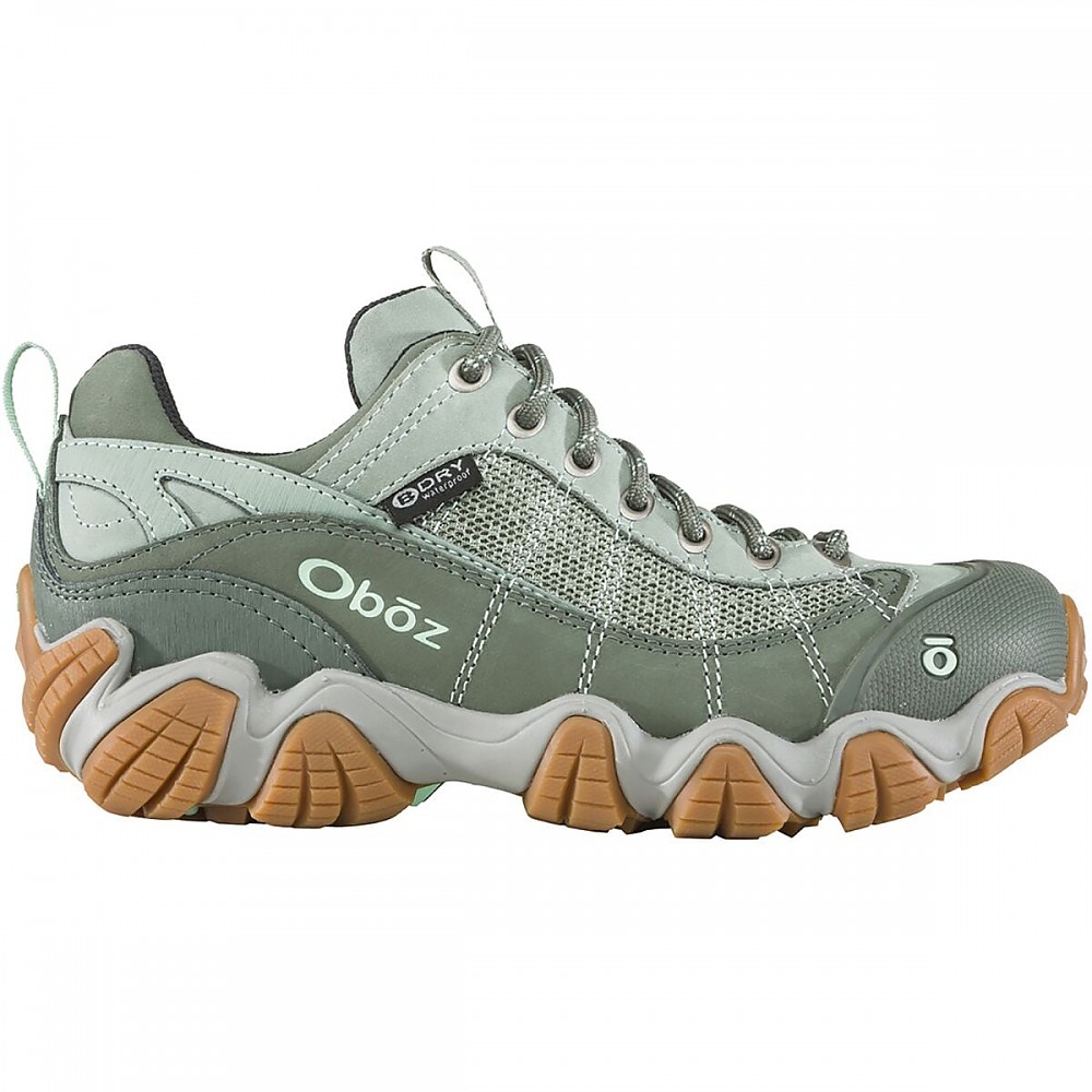 photo: Oboz Women's Firebrand II BDry trail shoe