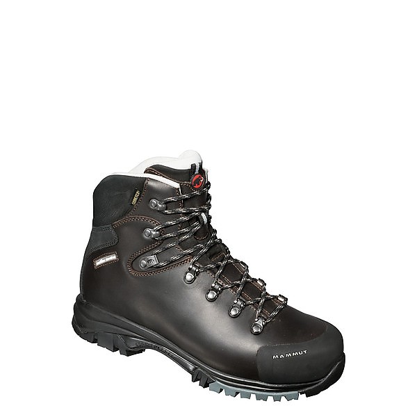 mammut mt trail gtx boots