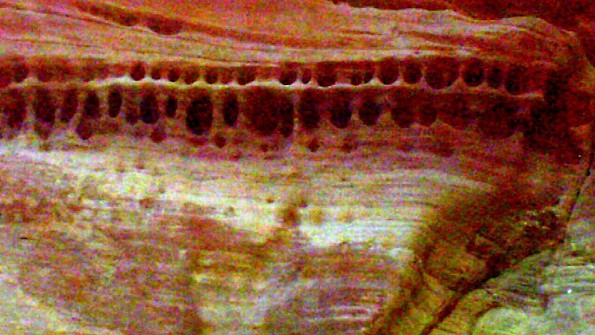 Parunuweap-canyon-13.jpg