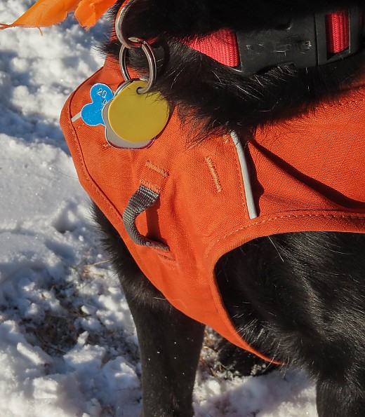 Ruffwear Overcoat Fuse Harness Jacket Reviews Trailspace