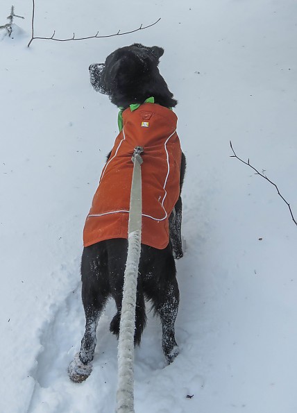 Ruffwear Overcoat Fuse Harness Jacket Reviews Trailspace