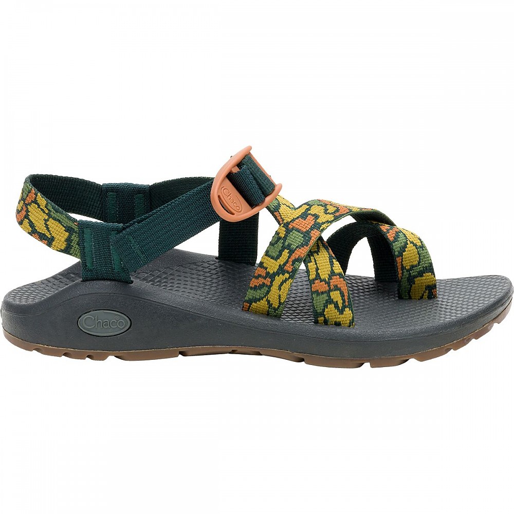 photo: Chaco Women's Z/Cloud 2 sport sandal